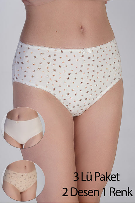 5002 - Yarım Bel Bikini Penye 3 lü Külot